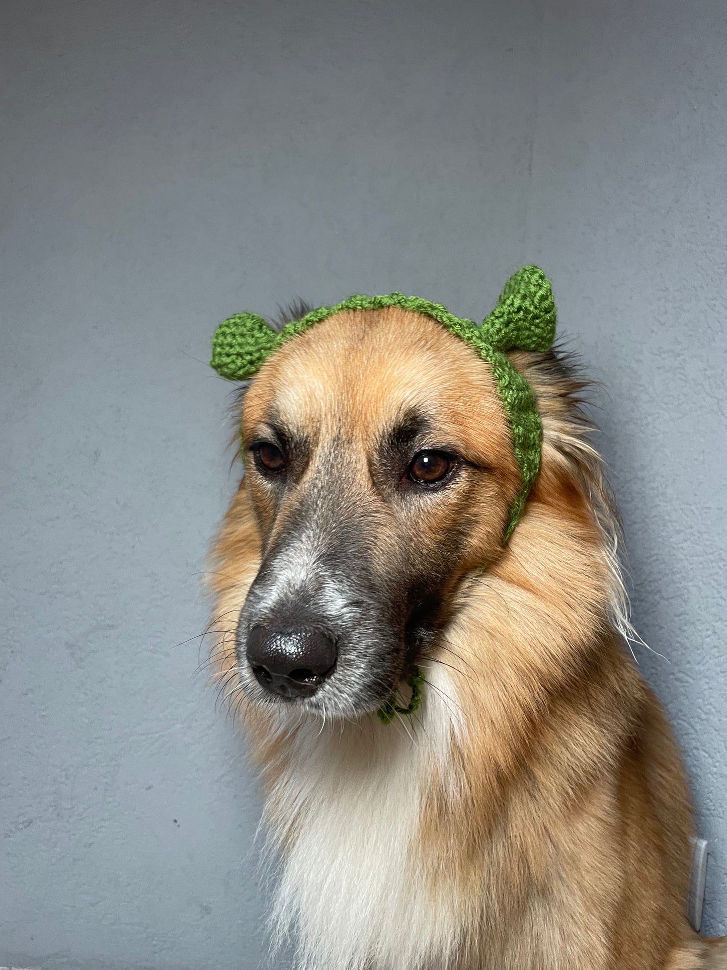 Bandeau Oreilles de Shrek pour chien
